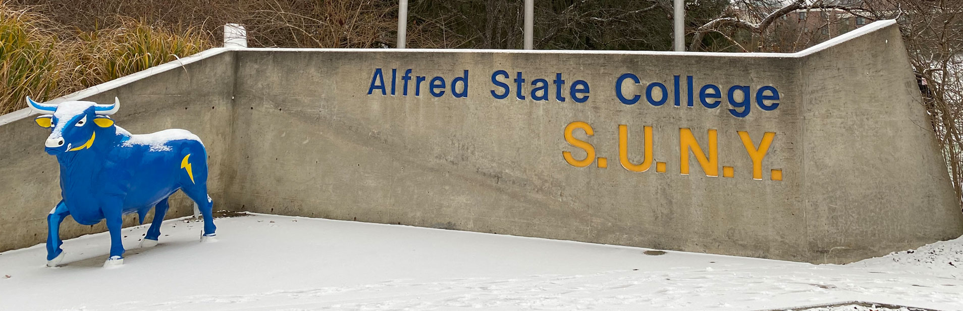 Alfred Student Storage | Alfred State College